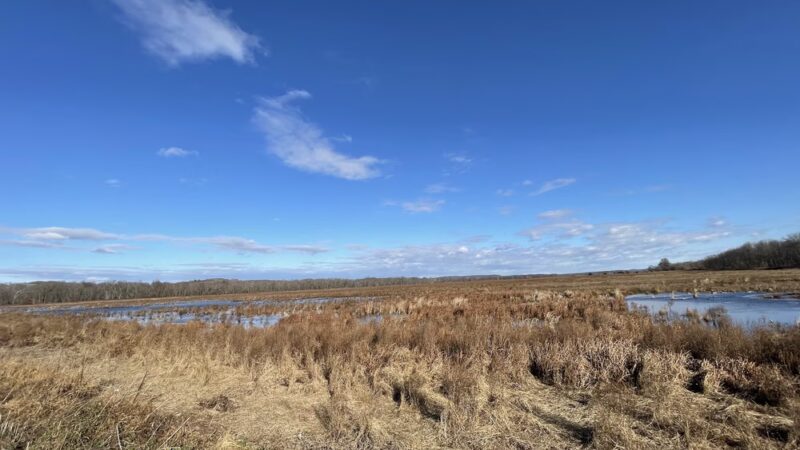 Liberty Loop Trail - Pine Island, NY