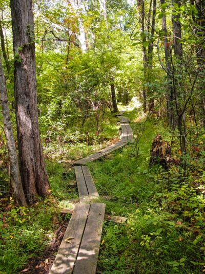 Liberty Loop Trail - Pine Island, NY