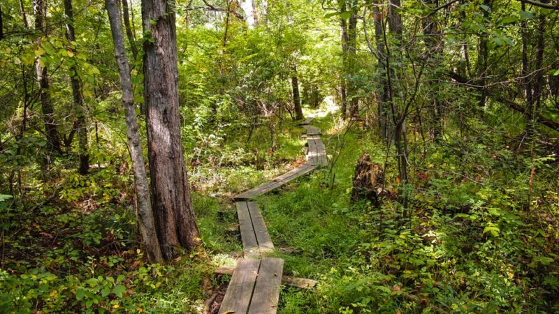 Liberty Loop Trail - Pine Island, NY