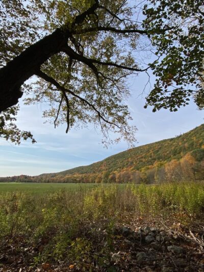 Thompson Pond Preserve Parking Area - Pine Plains, NY