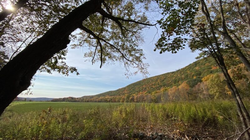 Thompson Pond Preserve Parking Area - Pine Plains, NY