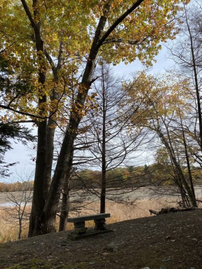 Thompson Pond Preserve Parking Area - Pine Plains, NY