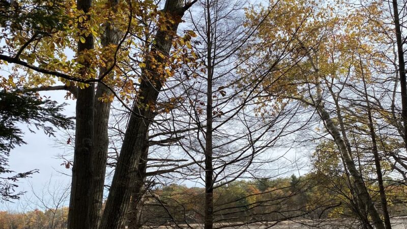 Thompson Pond Preserve Parking Area - Pine Plains, NY