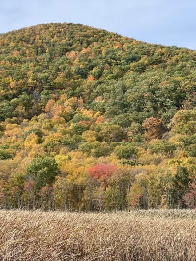 Thompson Pond Preserve Parking Area - Pine Plains, NY