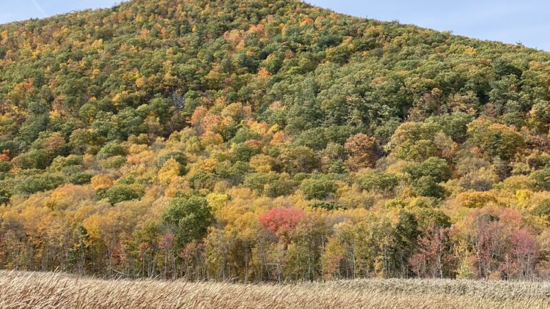 Thompson Pond Preserve Parking Area - Pine Plains, NY