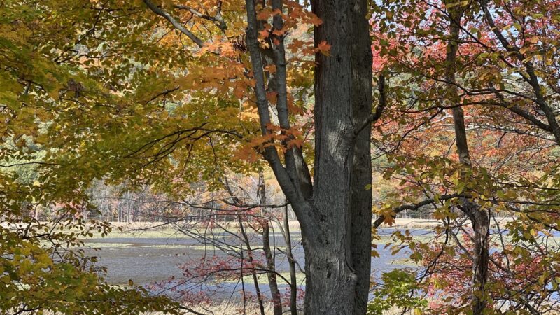 Thompson Pond Preserve Parking Area - Pine Plains, NY