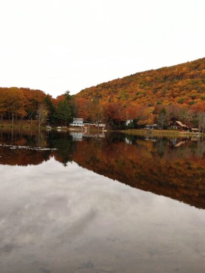 Lion's Community Pavilion - Pine Plains, NY