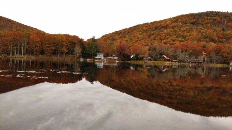 Lion's Community Pavilion - Pine Plains, NY