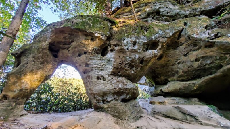 Angel Windows Trailhead - Red River Gorge - Pine Ridge, KY