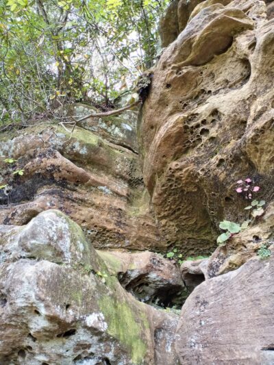 Angel Windows Trailhead - Red River Gorge - Pine Ridge, KY