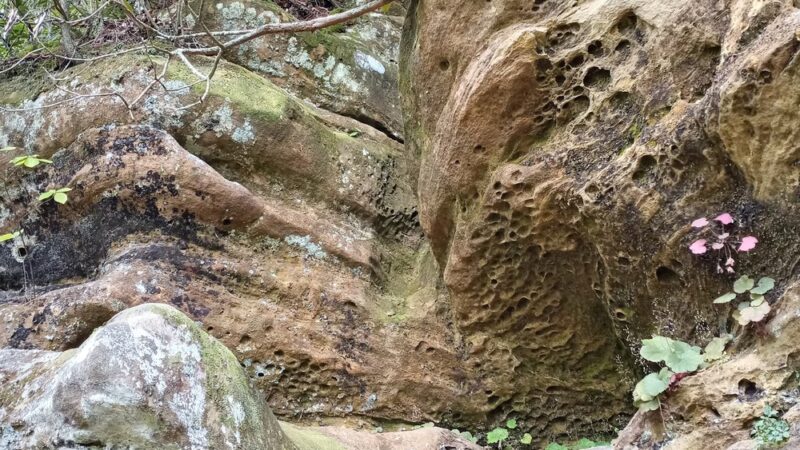 Angel Windows Trailhead - Red River Gorge - Pine Ridge, KY