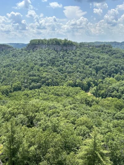 Chimney Top Rock Trailhead - Pine Ridge, KY