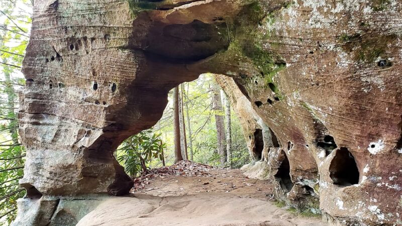 Hidden Arch - Pine Ridge, KY