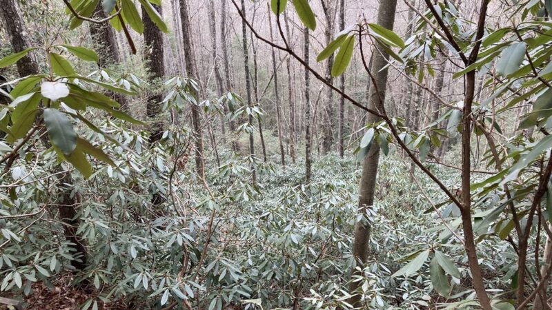 Hidden Arch - Pine Ridge, KY