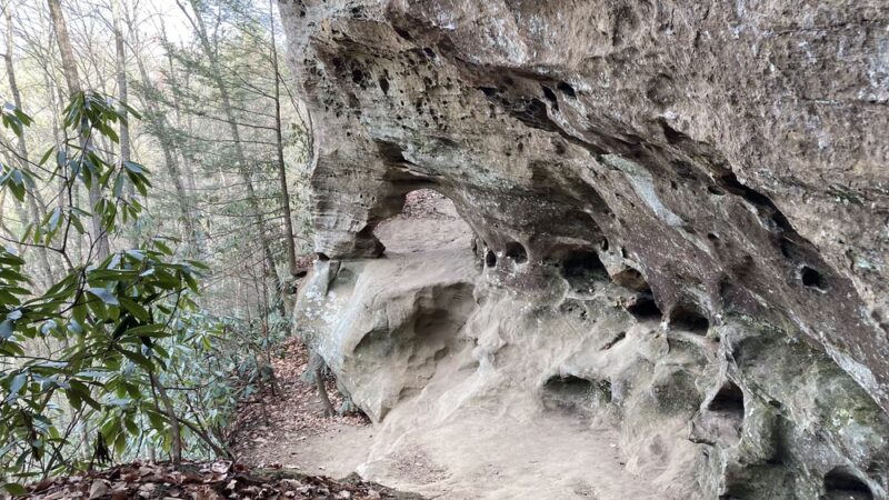 Hidden Arch - Pine Ridge, KY