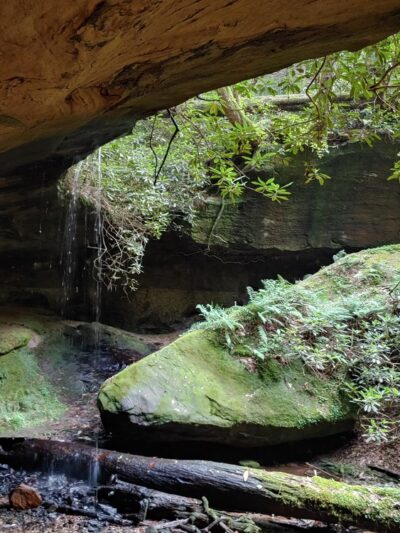 Swift Camp Creek Trail - Red River Gorge - Pine Ridge, KY