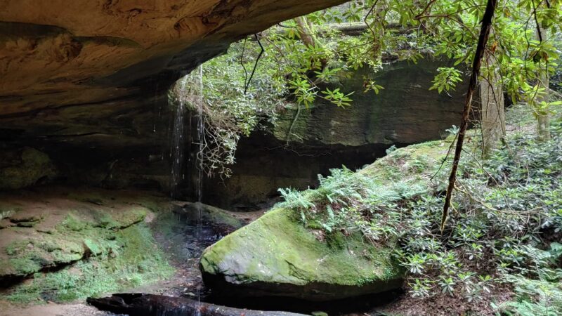 Swift Camp Creek Trail - Red River Gorge - Pine Ridge, KY