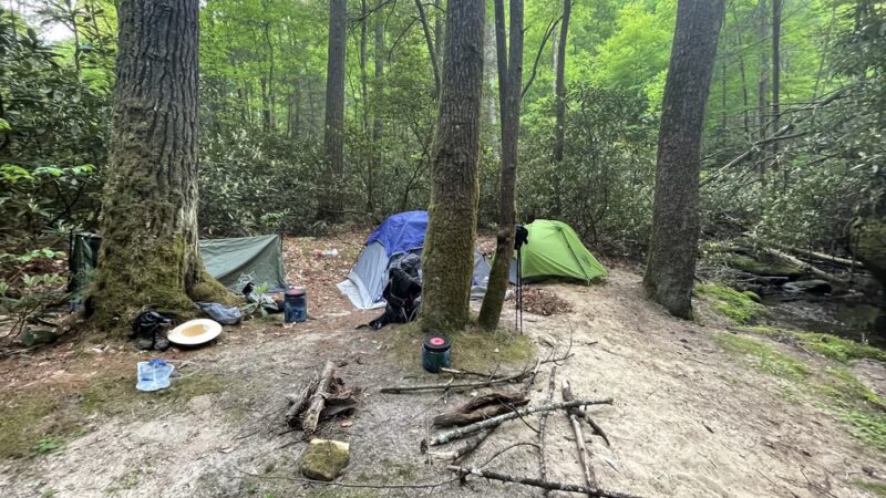 Swift Camp Creek Trail - Red River Gorge - Pine Ridge, KY