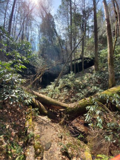 Swift Camp Creek Trail - Red River Gorge - Pine Ridge, KY