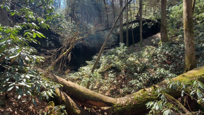 Swift Camp Creek Trail - Red River Gorge - Pine Ridge, KY