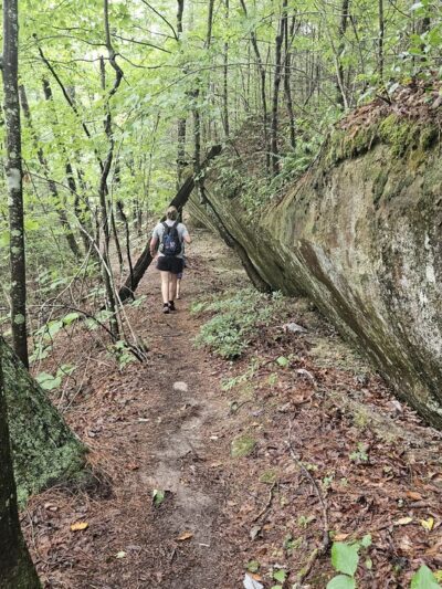 Swift Camp Creek Trail - Red River Gorge - Pine Ridge, KY