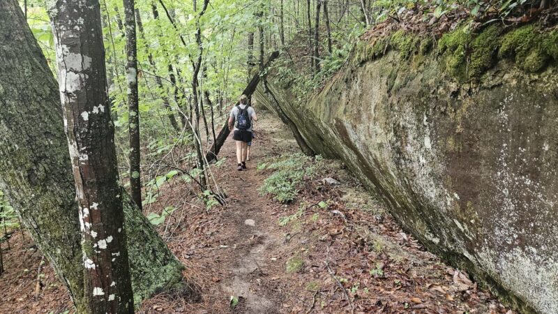 Swift Camp Creek Trail - Red River Gorge - Pine Ridge, KY