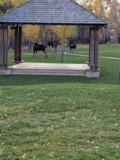 American Legion Park - Pinedale, WY