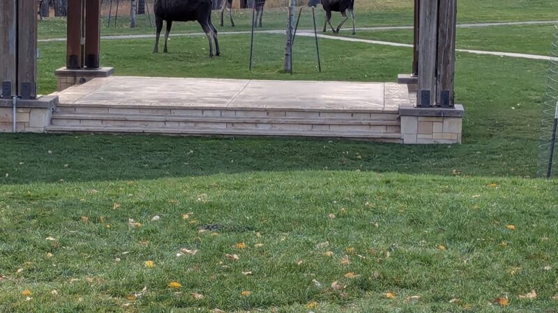 American Legion Park - Pinedale, WY