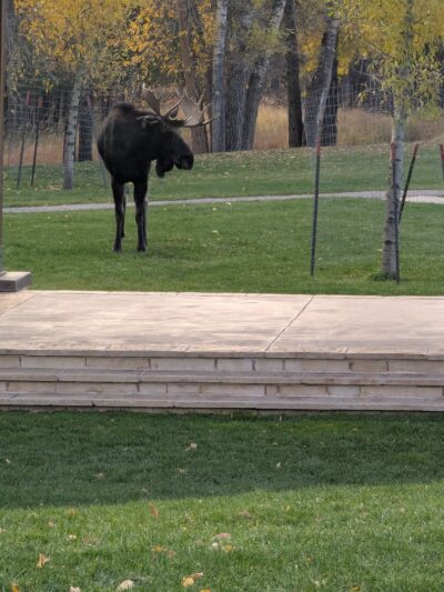 American Legion Park - Pinedale, WY
