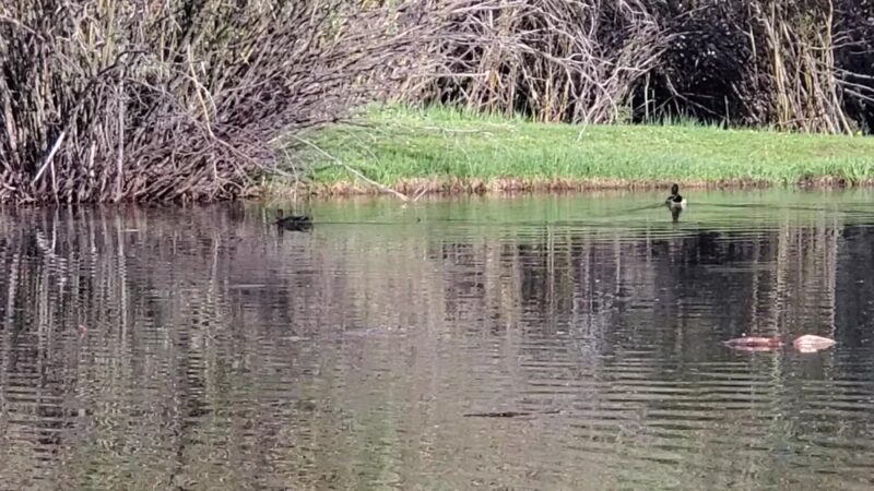 Boyd Skinner Park - Pinedale, WY