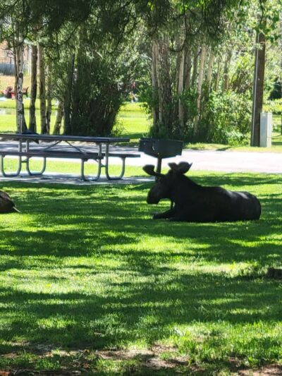 Boyd Skinner Park - Pinedale, WY