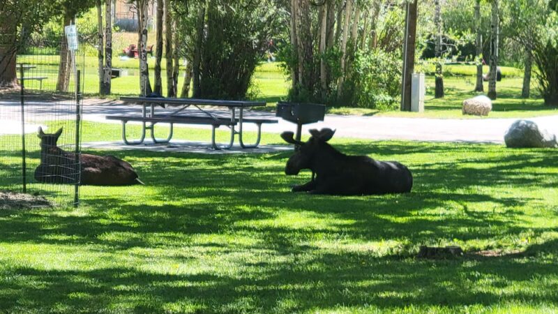 Boyd Skinner Park - Pinedale, WY