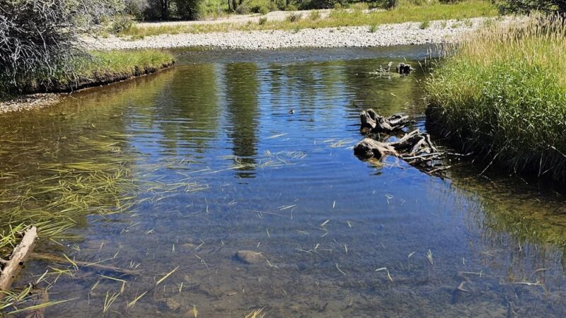Boyd Skinner Park - Pinedale, WY