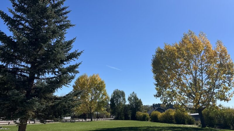 Shelter Park - Pinedale, WY