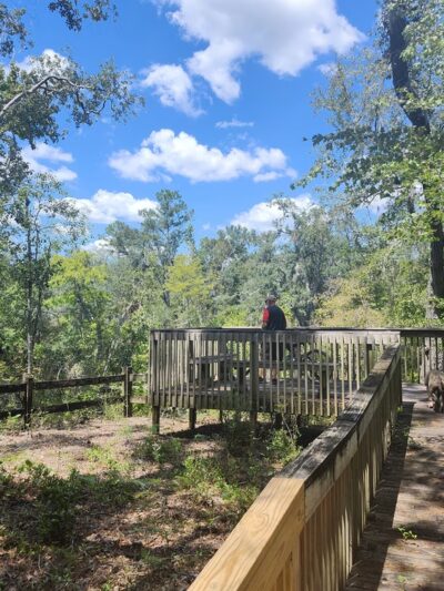 Four Freedoms Trail Pinetta Trail Head - Pinetta, FL