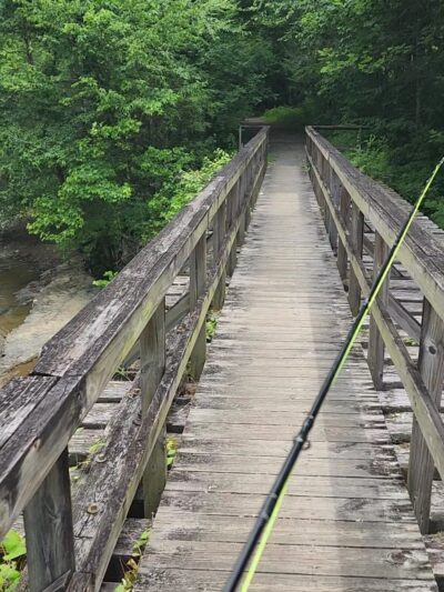 Clear Creek Hollow Trail Parking - Pineville, KY