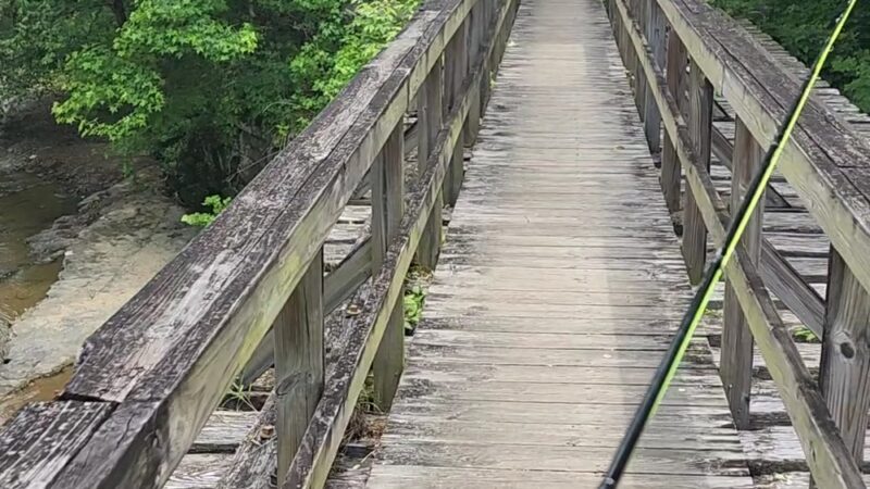 Clear Creek Hollow Trail Parking - Pineville, KY