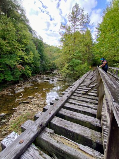 Clear Creek Hollow Trail Parking - Pineville, KY