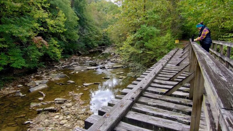 Clear Creek Hollow Trail Parking - Pineville, KY