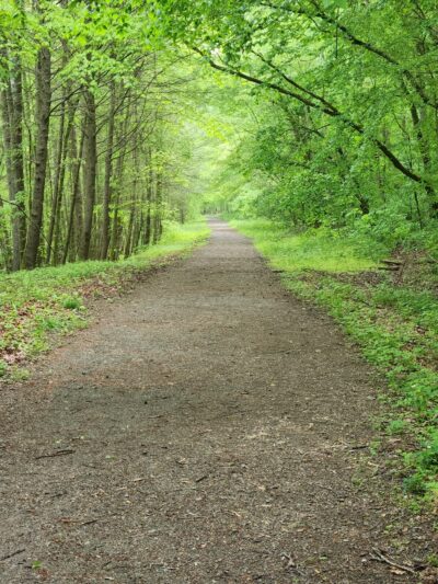 Clear Creek Hollow Trail Parking - Pineville, KY