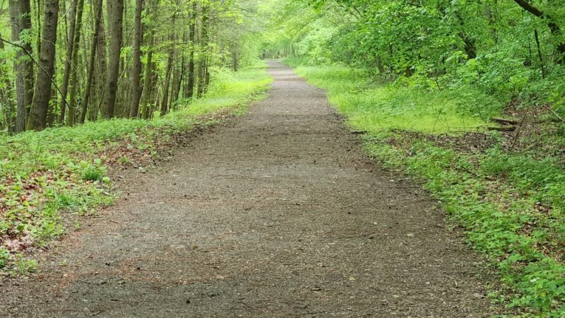 Clear Creek Hollow Trail Parking - Pineville, KY