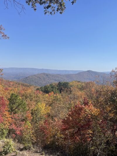 Kentucky Ridge State Forest - Pineville, KY