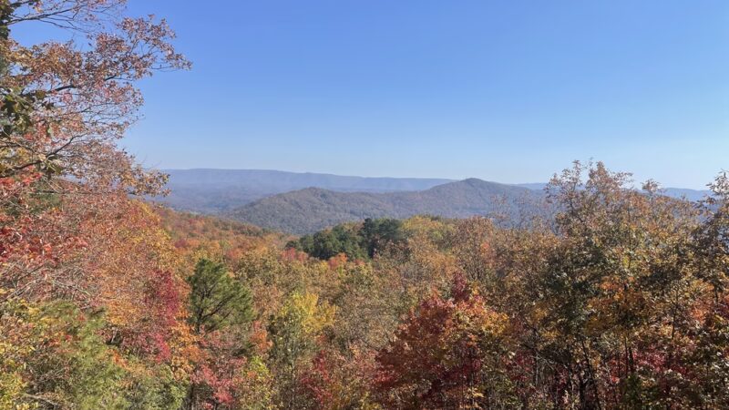 Kentucky Ridge State Forest - Pineville, KY
