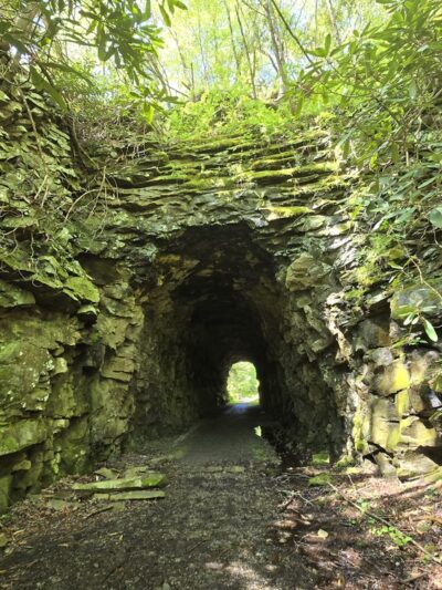 Kentucky Ridge State Forest - Pineville, KY