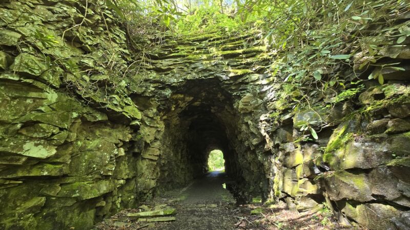Kentucky Ridge State Forest - Pineville, KY
