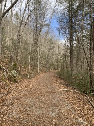 Kentucky Ridge State Forest - Pineville, KY