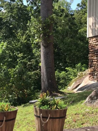 Pine Mountain State Resort Park - Pineville, KY