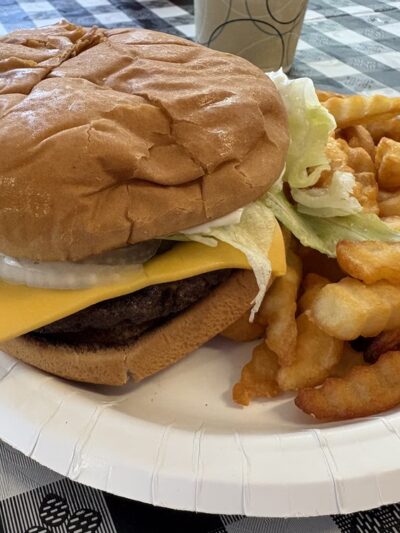 Pinnacle Drive Inn - Pineville, WV