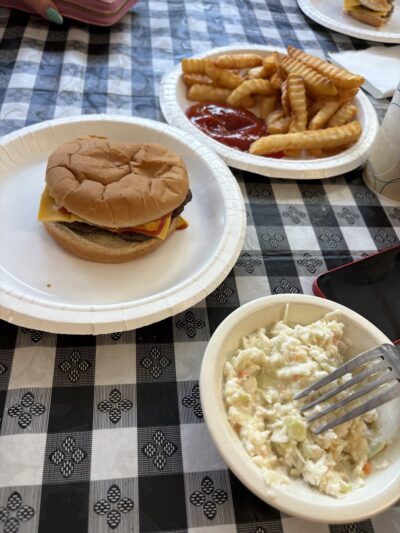 Pinnacle Drive Inn - Pineville, WV