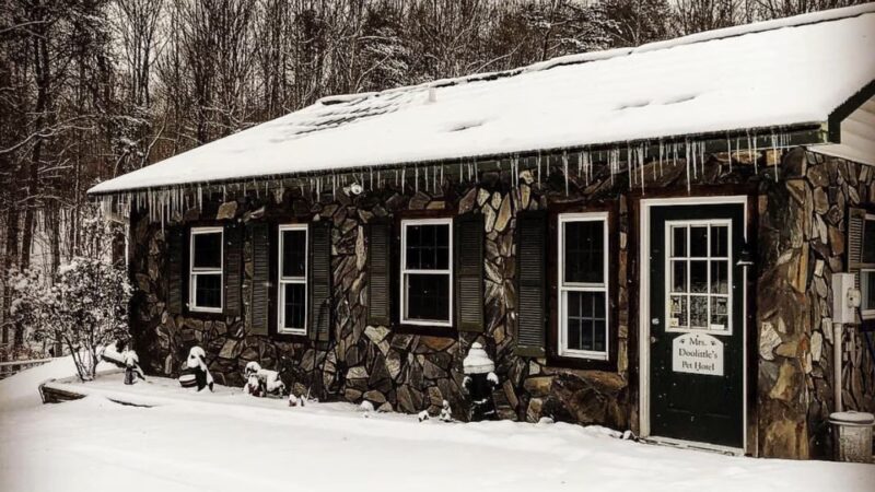 Kritter Kamp - Pinnacle, NC